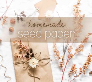 plantable seed paper graphic with presents and flower