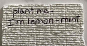 textured plant me lemon mint paper