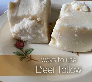 beef tallow on a plate