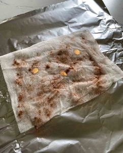 cherry seeds on wet paper towel