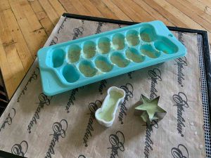 dehydrator tray, ice cube tray and cookie cutter