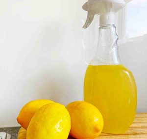 lemons and sprayer