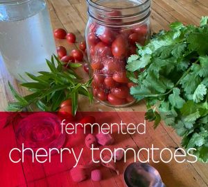 all the ingredients for fermented tomatoes
