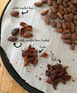 cacao beans roasted and husked