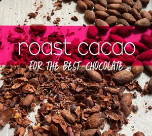 roast cacao for the best chocolate graphic