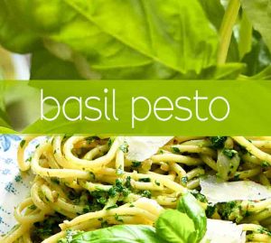 title with pasta and pesto and basil plant